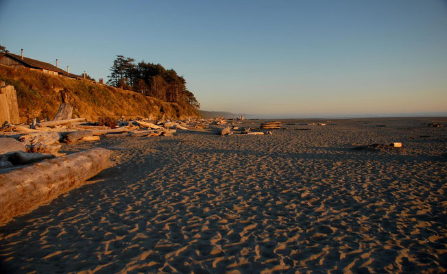 kalaloch, beach 2, pacific coast; wa