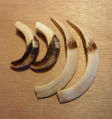 Original and replicas