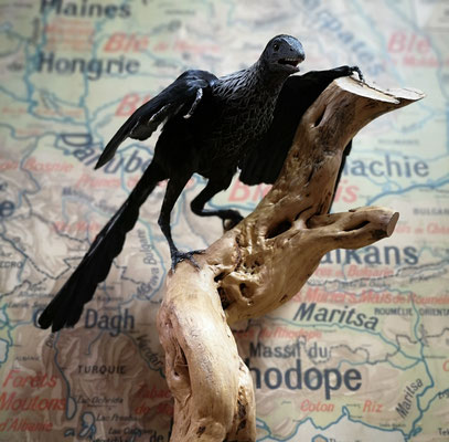 Archaeopteryx (measures of the Berlin specimen)