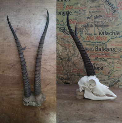 Plus que de la restauration - More than restoration