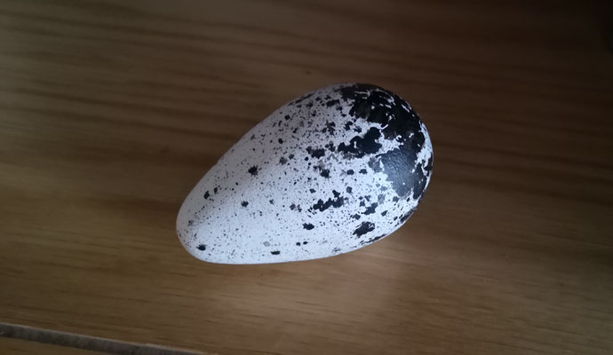 Common murre egg (replica)