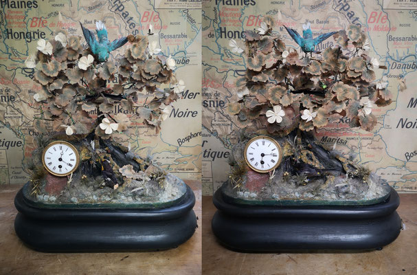 Pendule automate aux oiseaux chanteurs (probablement Phalibois, XIXè) - Singing birds automaton clock (probably Phalibois, 19th)