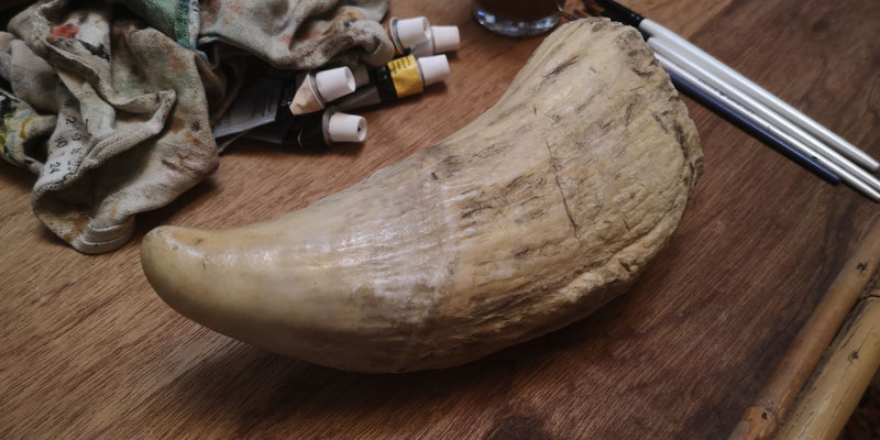 Dent de cachalot - Sperm whale tooth (replica; Musée africain de Namur)