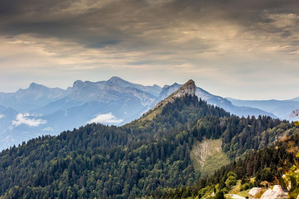 Paysage des Alpes