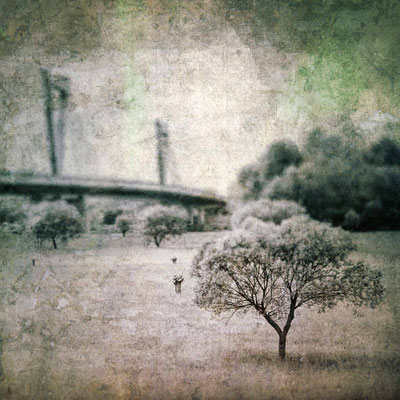 Rheinaue |  digital work, limited edition of 25 