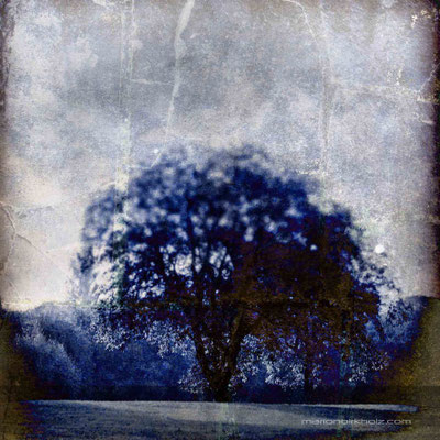 still standing | digital work, limited edition of 25 