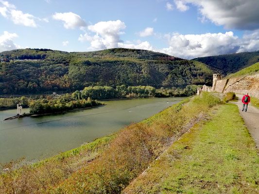 la tour des Souris et le château Ehrenfels