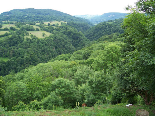 Vallée du Violon