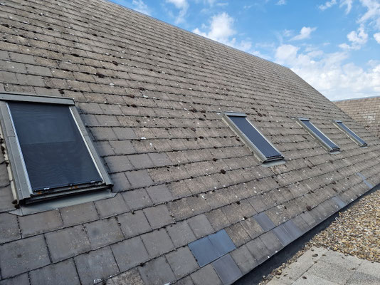 dakvester velux buitenscreen school 