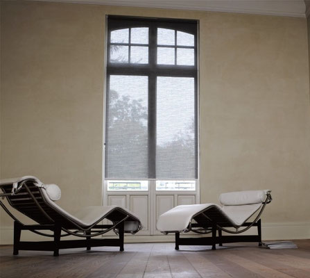 grijs transparant rolgordijn van diaz hoge ramen 