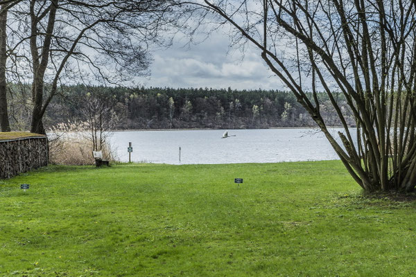 Strand auf der Herzinsel