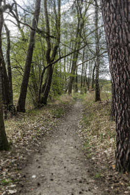 Rundwanderweg auf der Herzinsel