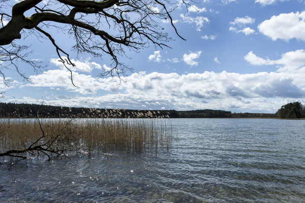 Blick auf den Brückentinsee