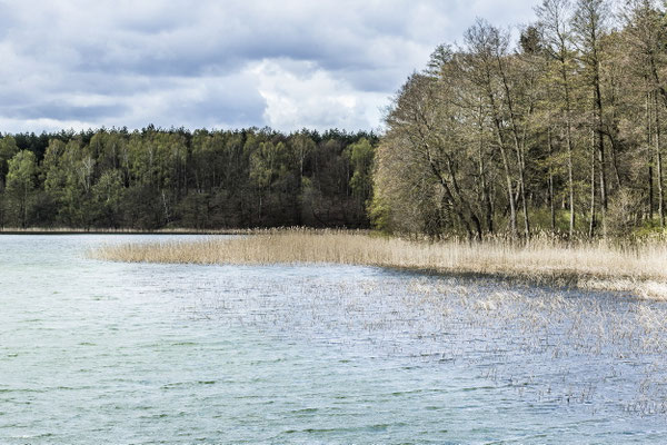 der Brückentinsee
