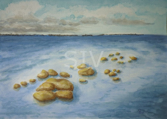 (*) Sylt Steingrab im Watt