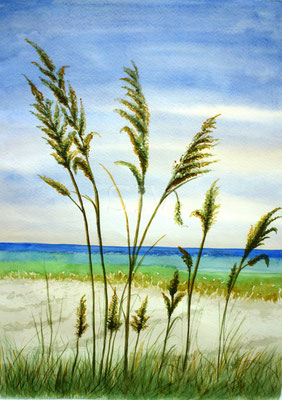 Gräser am Meer