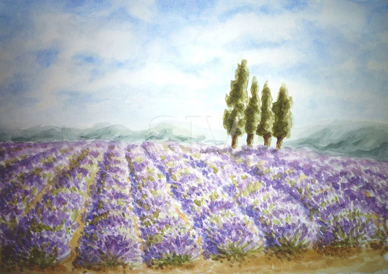 In der Provence
