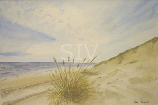 (*) Strand