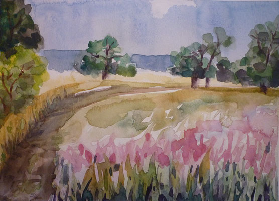Wiese bei Himmelpfort, Aquarell auf Papier, 21,5x30 cm