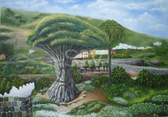 (*) Drachenbaum auf Teneriffa, 50x75 cm, Acryl auf Leinwand