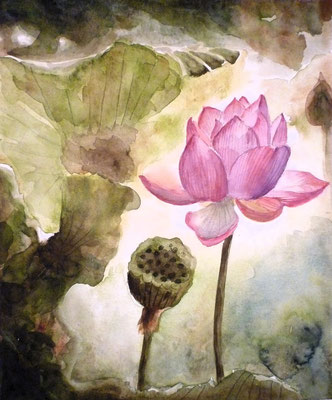Lotus, Aquarell auf Papier, 28.3x23,5 cm