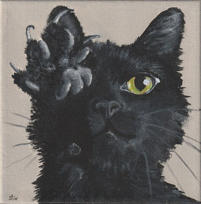 (*) Rocky, 15x15 cm, Acryl auf Leinwand