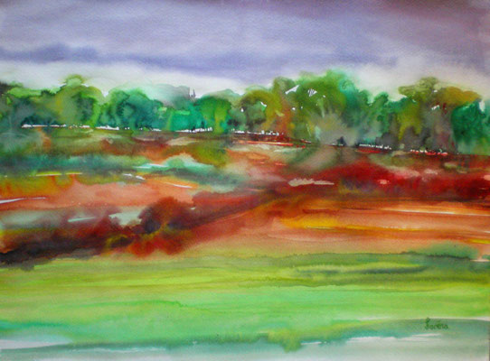 Campagne en été 42 x 56 mit Passepartout 50 x 60 CHF 350