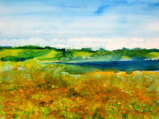 Champs de fleurs 35 x 50 mit Passepartout 50 x 60 CHF 350