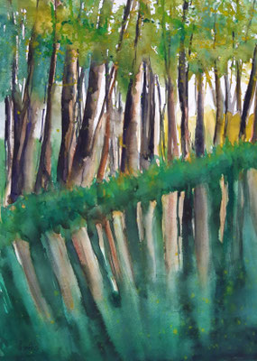 Reflets dans la rivière 35 x 50 mit Passepartout 50 x 60 CHF 350