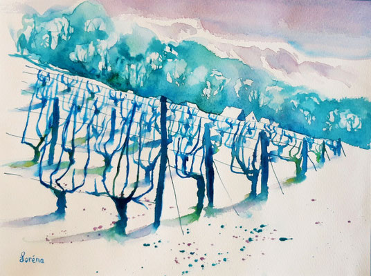 Vignes 24 x 32 mit Passepartout 30 x 40 CHF 200