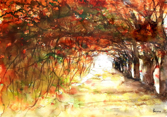 Allée rouge 42 x 56 mit Passepartout 50 x 60 CHF 350