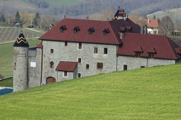 Le château de Pelly en 2016. Photo Jl Sartre