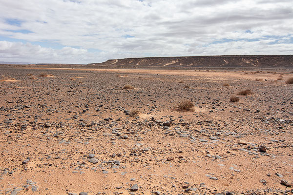 (Msseyed (Guelmim-Oued Noun), Maroc, le 26/03/2024)