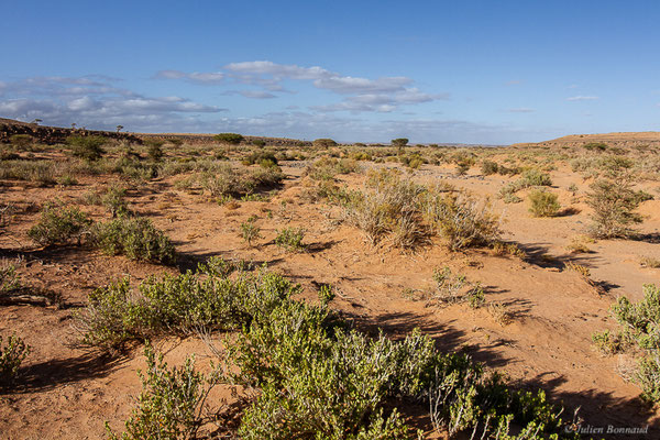 (Msseyed (Guelmim-Oued Noun), Maroc, le 29/03/2024)