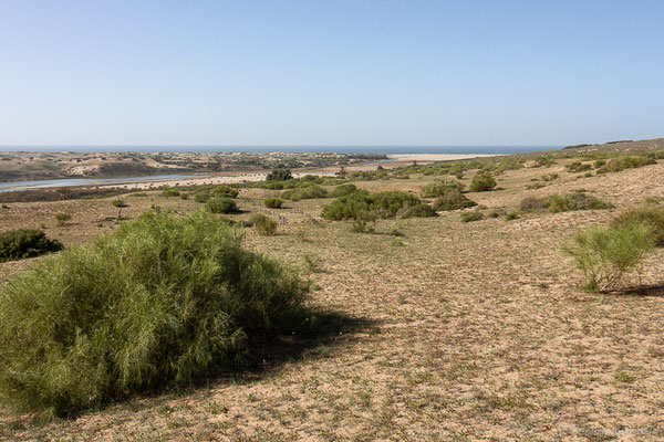 (Parc national de Souss-Massa, Sidi Binzarne, Maroc, le 02/02/2023)