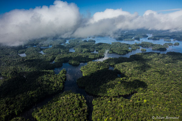 Ilots forestiers sur le barrage de Petit-Saut, le 05/07/2017 (prise de vue depuis un hélicoptère)