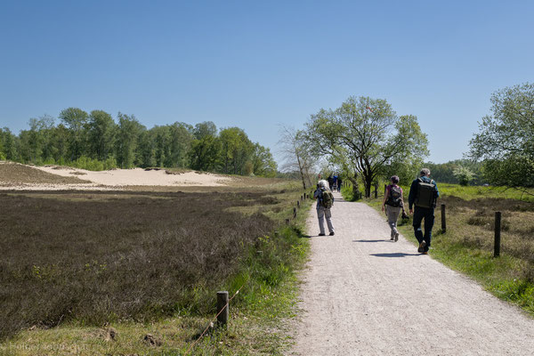 Der Weg führt zu Gesine - Foto: Holger Tobuschat