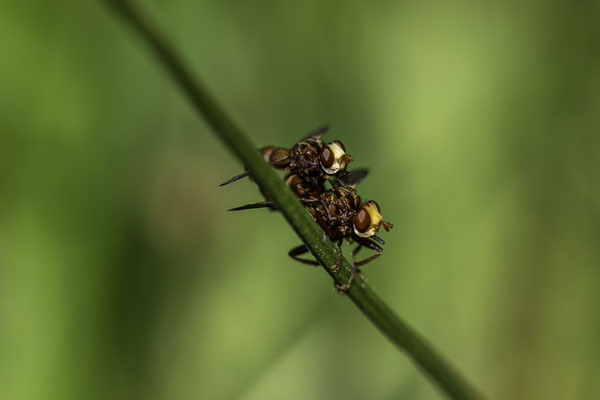 Foto: Gesche Andresen