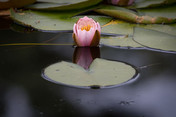 Foto: Holger Tobuschat