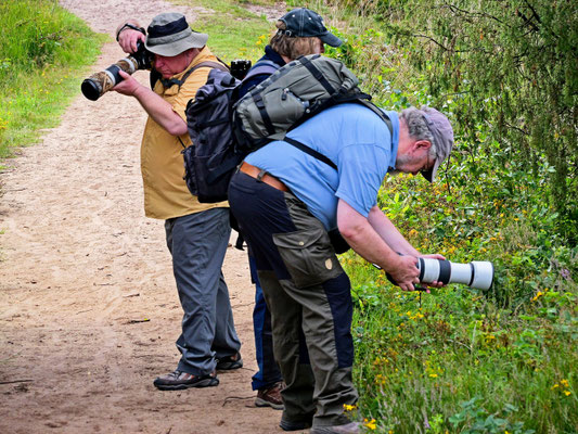 Die Fotogruppe in Aktion - Foto: Karl-Horst Fricke