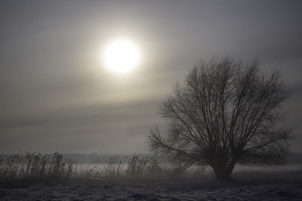 Foto: Gesche Andresen