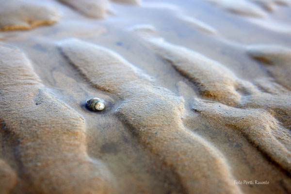 Elbstrand - Foto: Pertti Raunto