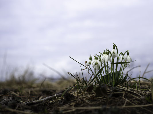 Foto: Gesche Andresen