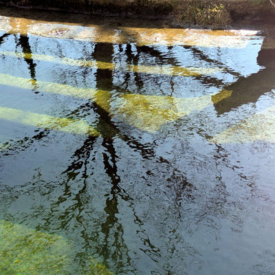 Foto: Willi Heinsohn