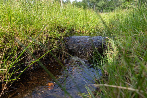 Der Büsenbach, klein aber mit Wasserfall - Foto: Pertti Raunto