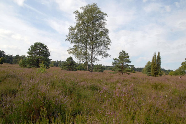 Foto: Jörg Recoschewitz