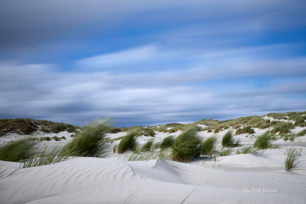 Wind - Ort: Amrum - Foto: Pertti Raunto