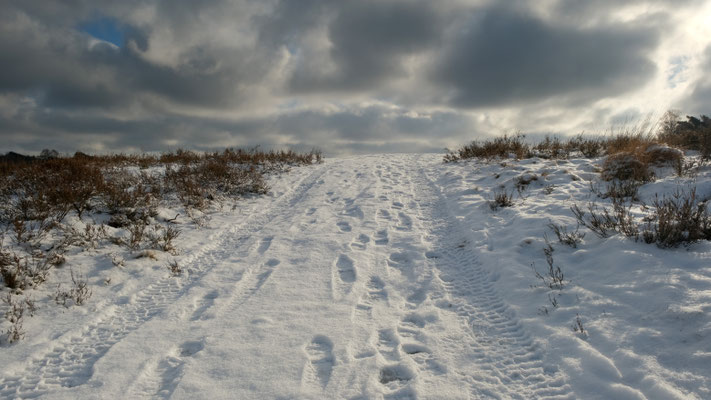 So viel Schnee in der FischbekerHeide - Foto: Romana Thurz