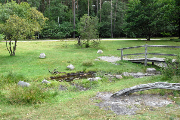 Foto: Jörg Recoschewitz