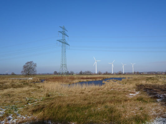 20180213_Feuchtbiotop_beim_Beobachtungsstand_Gesine_Schwerdtfeger